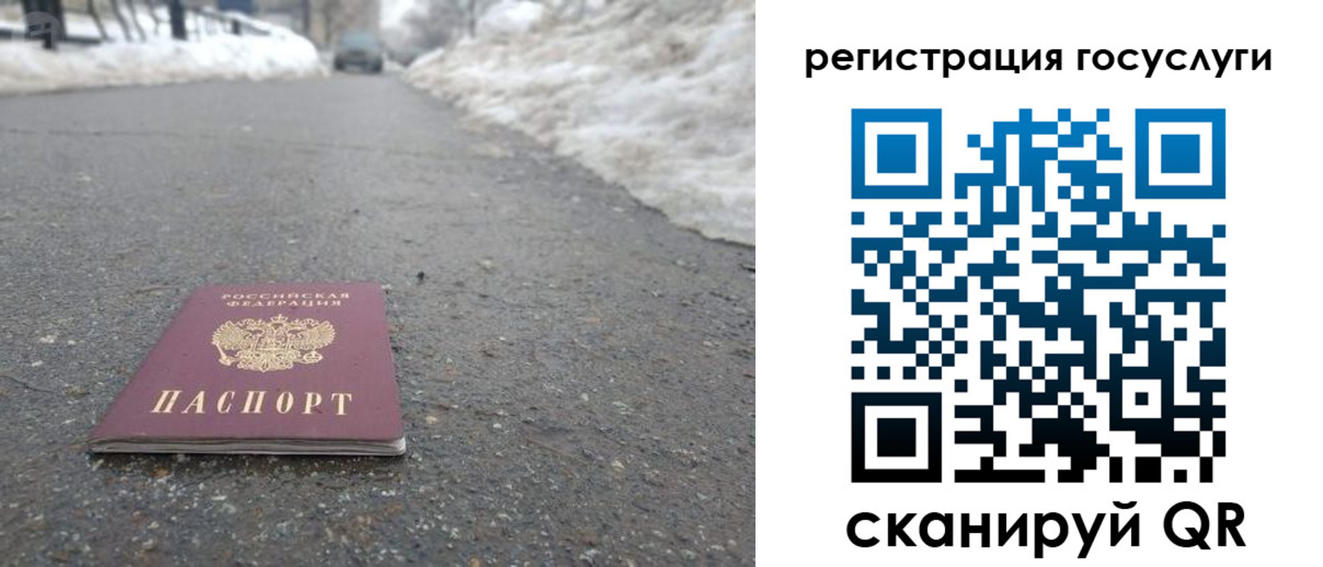 прописка поиск в Чите